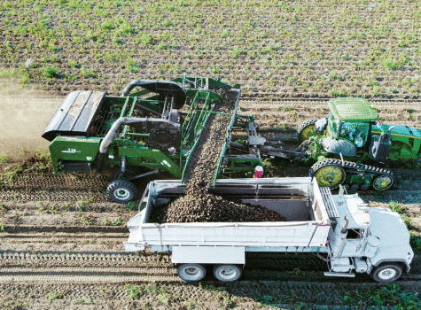 Lockwood Harvester